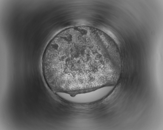 X0000096411047200802211221