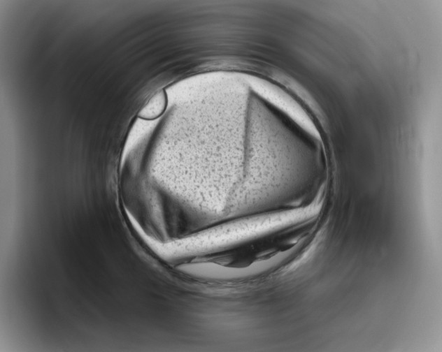 X0000096411049200802211221