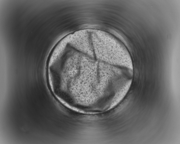 X0000096411050200802211221