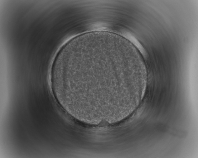 X0000096411051200802211221