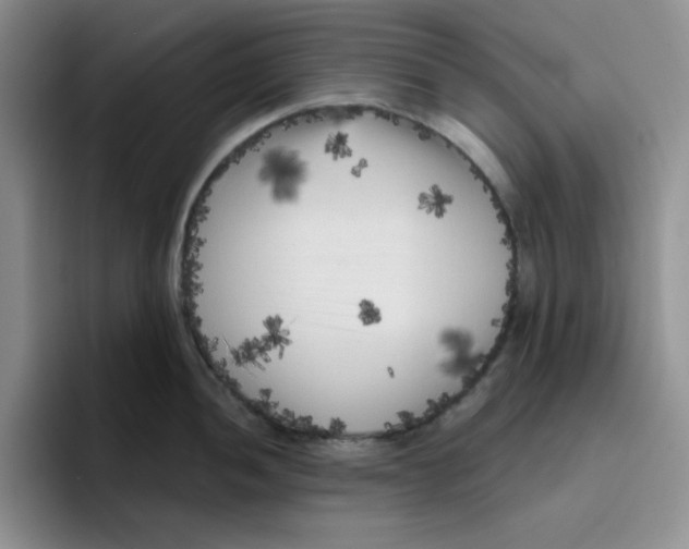X0000096411052200802211221