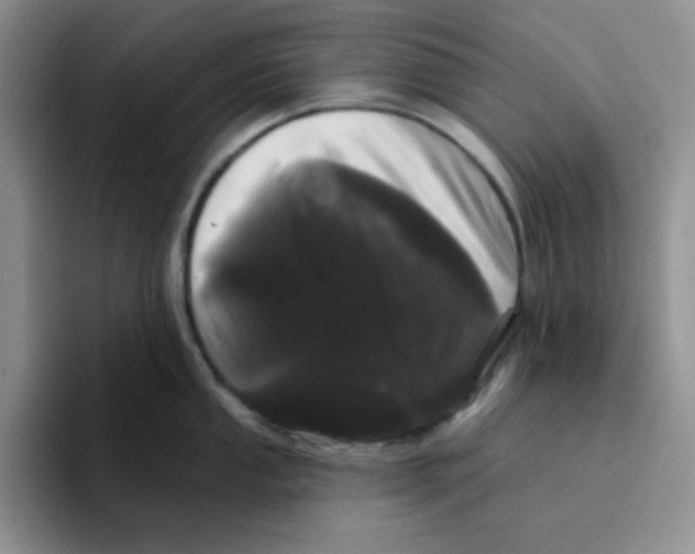 X0000096411053200802211221