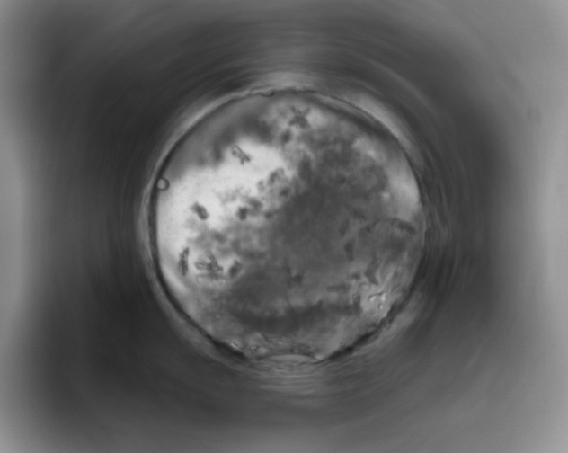 X0000096411055200802211221