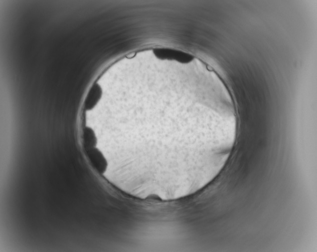 X0000096411056200802211221