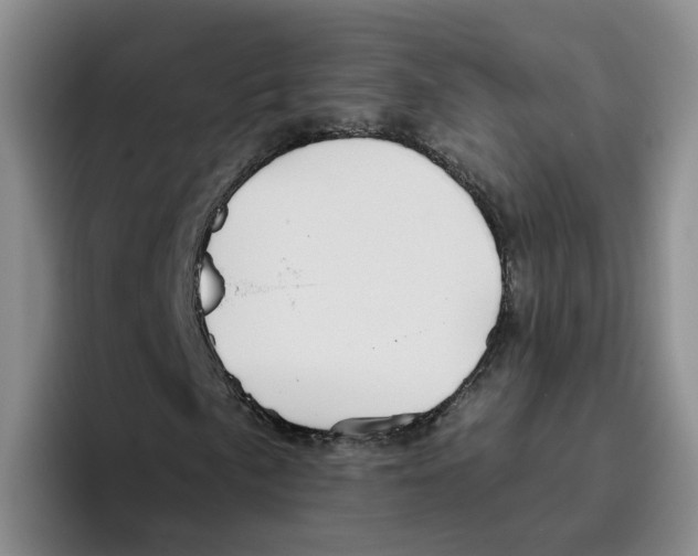 X0000096411057200802211220