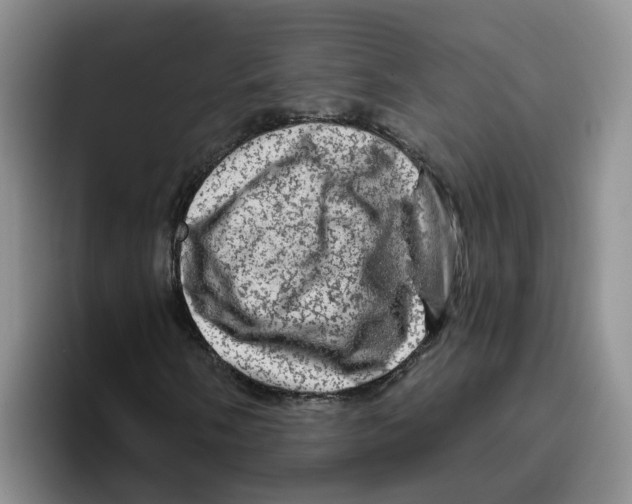 X0000096411058200802211220
