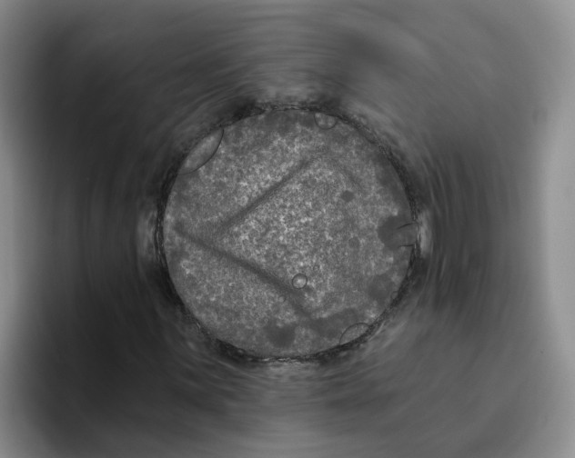 X0000096411059200802211220