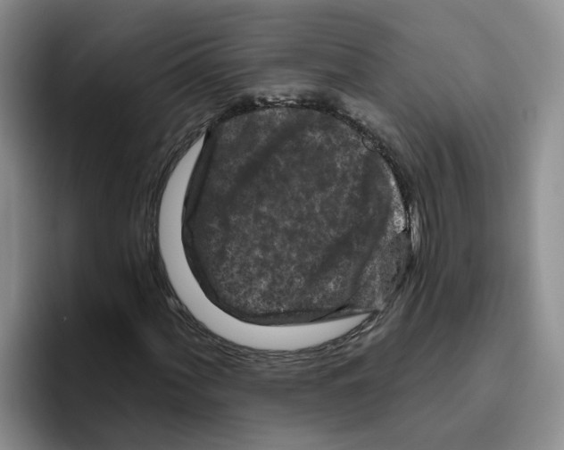 X0000096411060200802211220