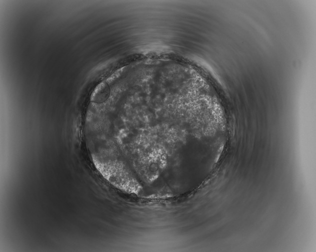 X0000096411063200802211220