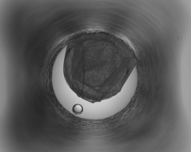 X0000096411064200802211220
