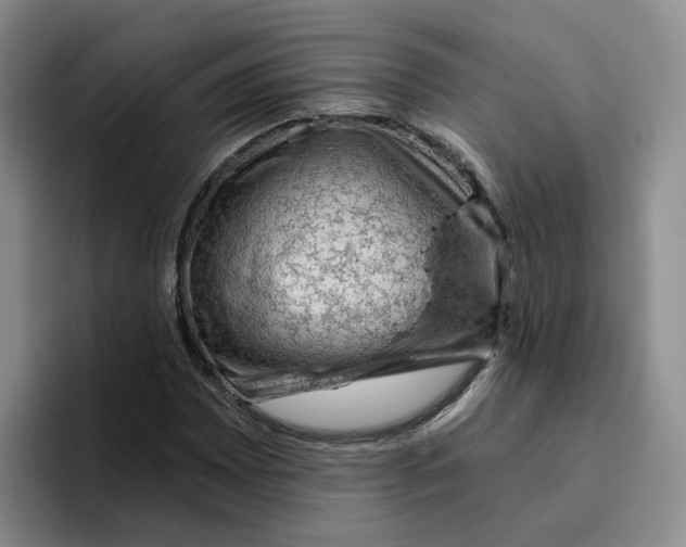 X0000096411065200802211220