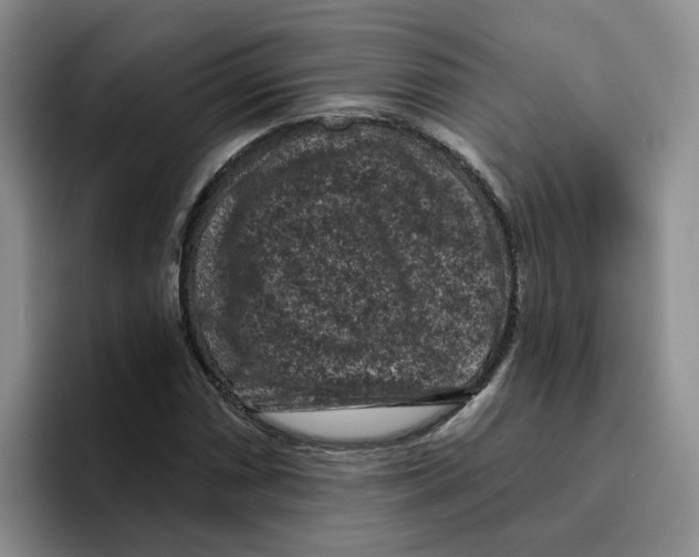 X0000096411066200802211220