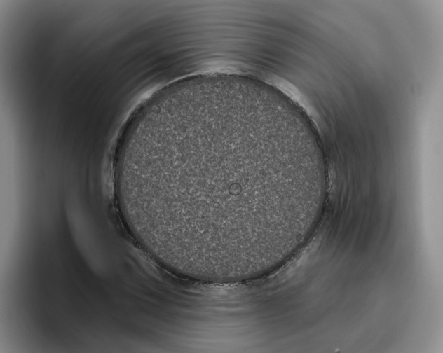 X0000096411067200802211220