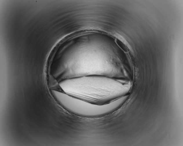 X0000096411068200802211220
