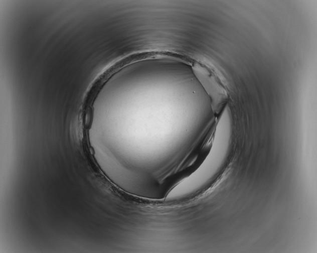 X0000096411069200802211220