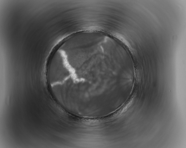 X0000096411071200802211220