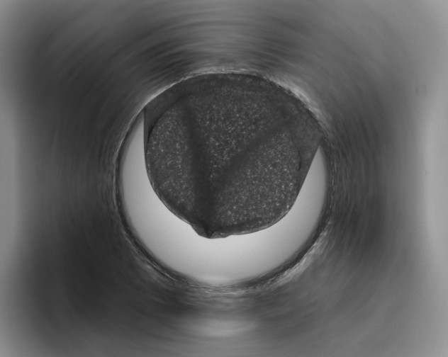 X0000096411073200802211220