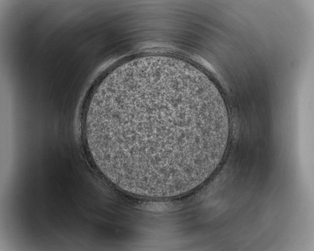 X0000096411074200802211220