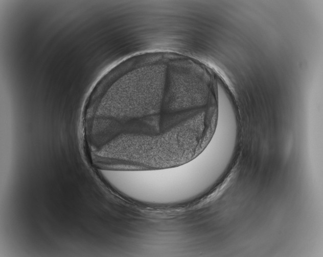 X0000096411077200802211220