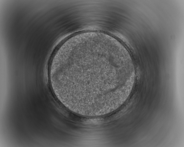 X0000096411078200802211220