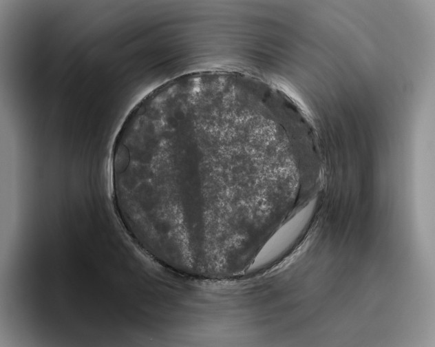 X0000096411079200802211220