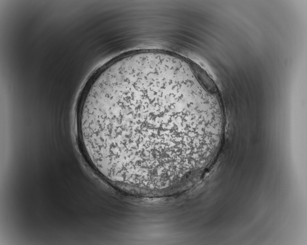 X0000096411080200802211220