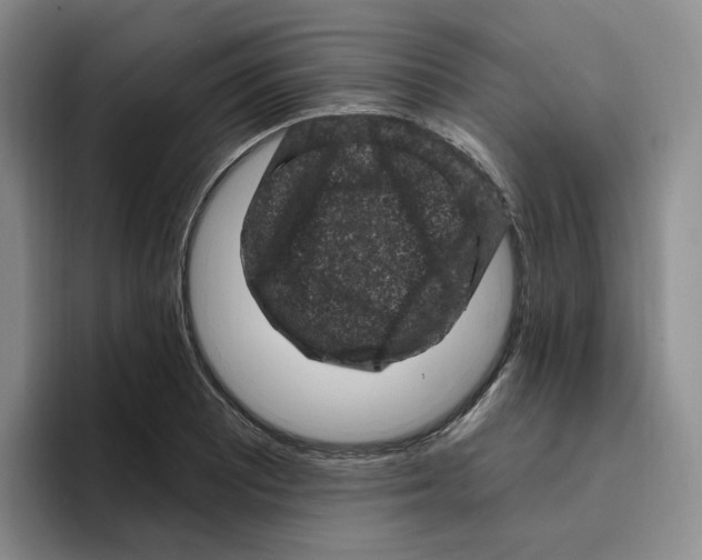 X0000096411081200802211220