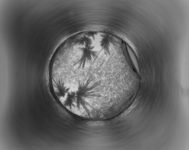 X0000096411083200802211220