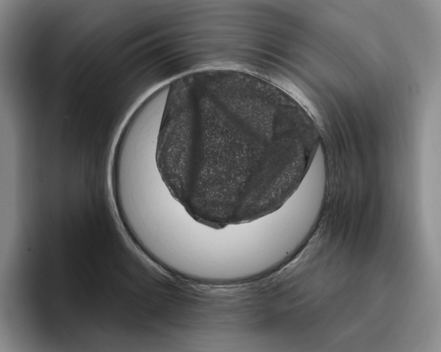 X0000096411084200802211220