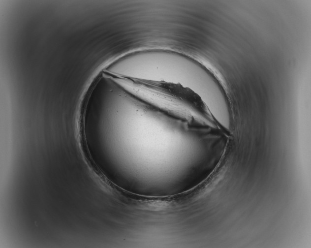 X0000096411085200802211220
