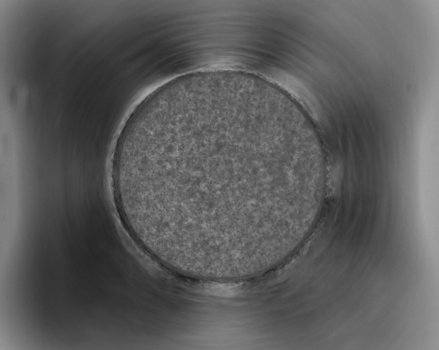 X0000096411086200802211220