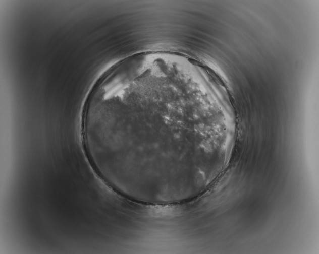 X0000096411087200802211220