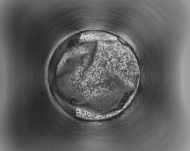X0000096411088200802211220