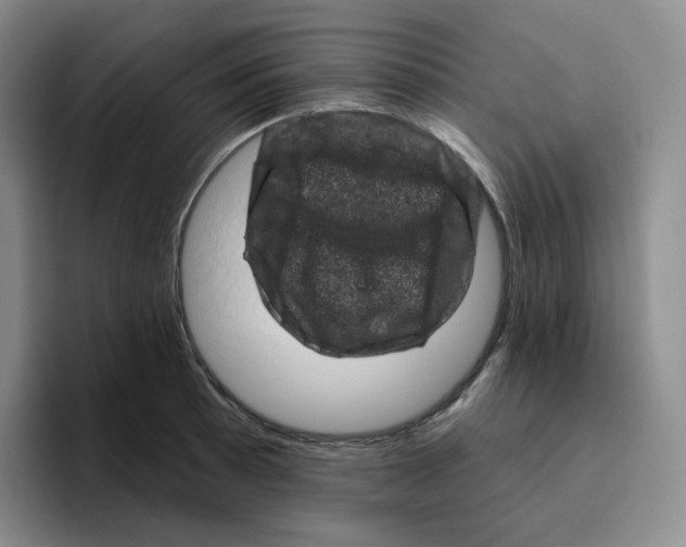 X0000096411089200802211220
