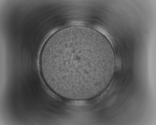 X0000096411090200802211220