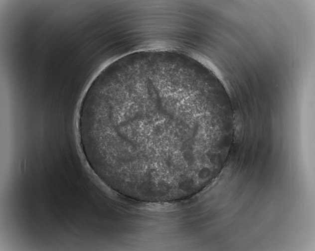X0000096411091200802211220