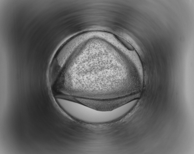X0000096411092200802211220