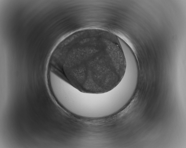 X0000096411093200802211220