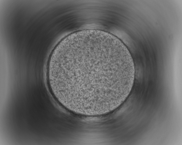 X0000096411094200802211220