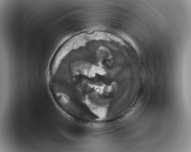 X0000096411095200802211220
