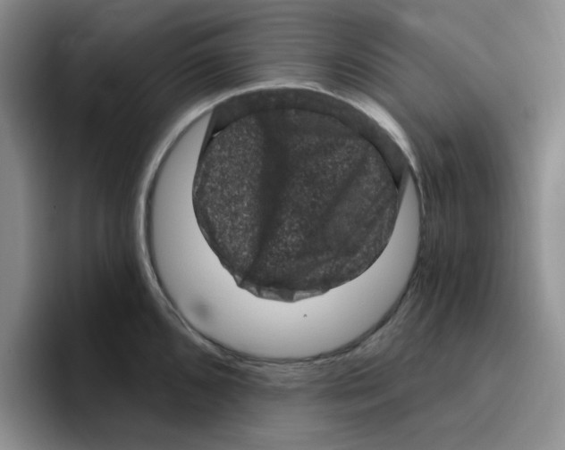 X0000096411096200802211220