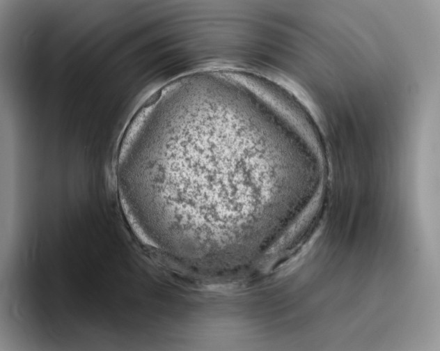 X0000096411097200802211220