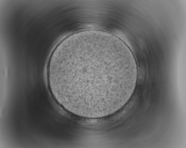 X0000096411098200802211220