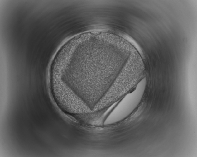 X0000096411099200802211220