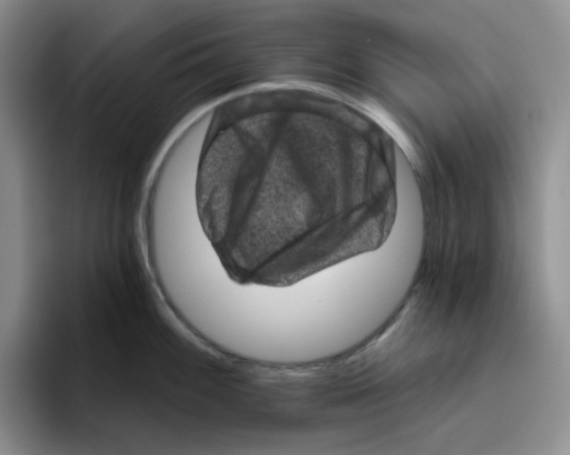 X0000096411100200802211220