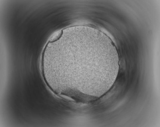 X0000096411103200802211220