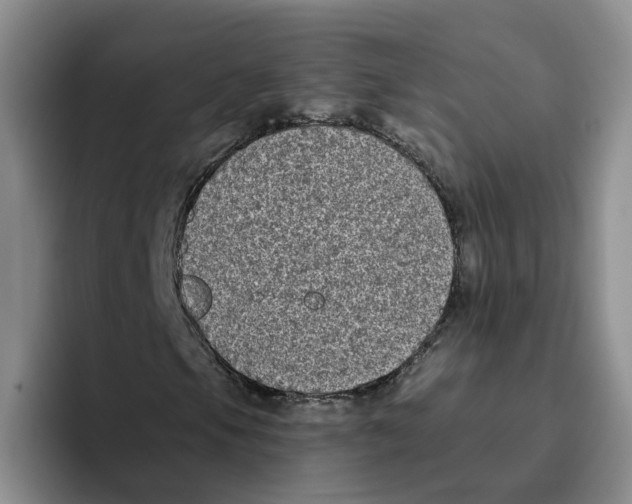 X0000096411105200802211219