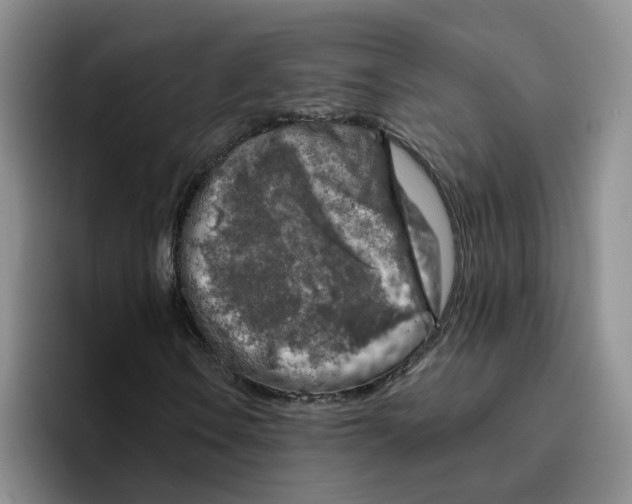 X0000096411106200802211219
