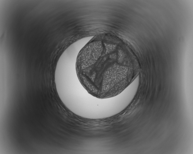 X0000096411108200802211219