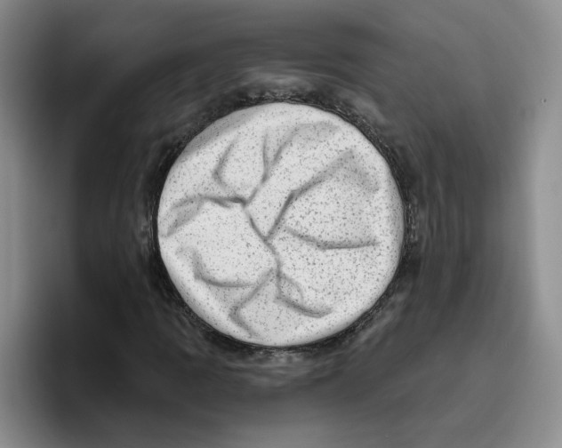 X0000096411109200802211219